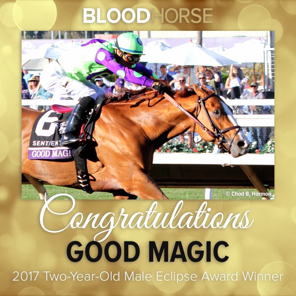 Good Magic (@goodmagiccolt) on Twitter photo 