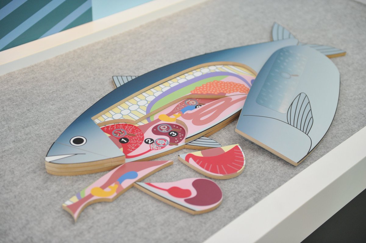 ট ইট র 葛西臨海水族園 公式 パズルで寄生虫を探そう 寄生虫は宿主である魚のさまざまなところにとりついて 宿主から栄養を取りながらくらしています 魚のどこに寄生虫がいるか探してみよう かさりん Tslp ｒ