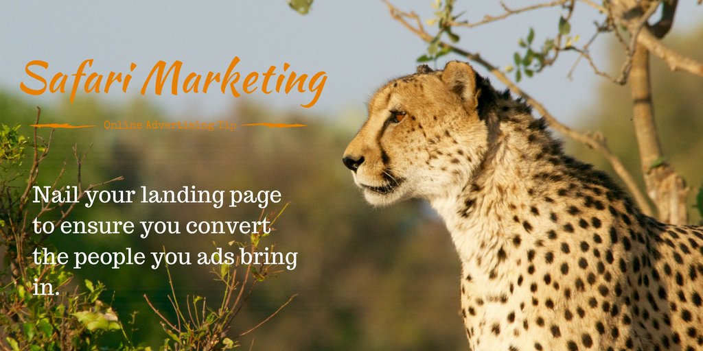 Investing in #Adwords to bring in website traffic can bring big returns - but only if you have a landing page that will make them enquire when they arrive. #safariMarketing