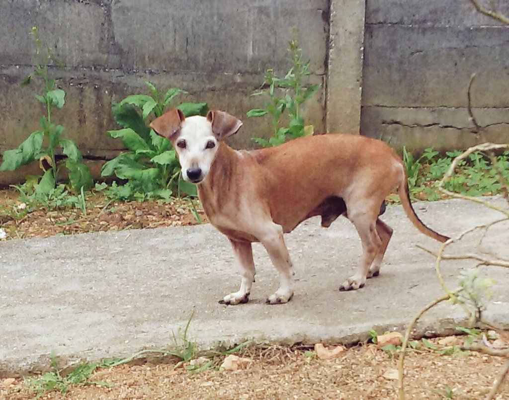 jaryannekasil's tweet photo. Saudade do meu bambino 😢💔 https://t.co/P5aBq7T3mj