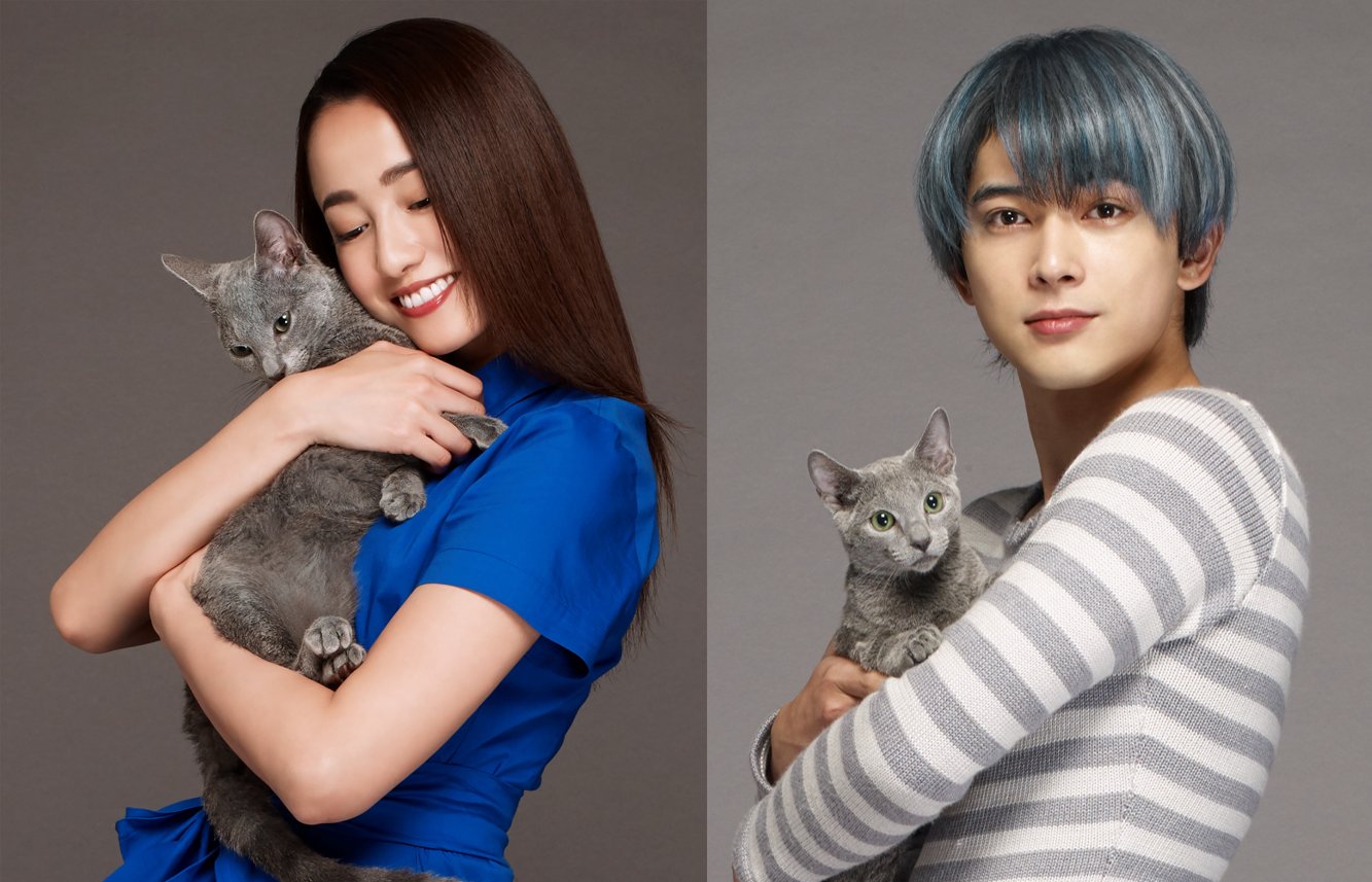 映画 猫は抱くもの 公式 Ar Twitter 映画 猫は抱く もの 6月23日公開 アイドルの夢を諦め 全てに嫌気がさしてしまった 妄想好きの沙織 沢尻エリカ が飼っているのは 自分を沙織の恋人だと思い込む猫のヨシオ 吉沢亮 こじらせた１人の１匹が最高の相棒に