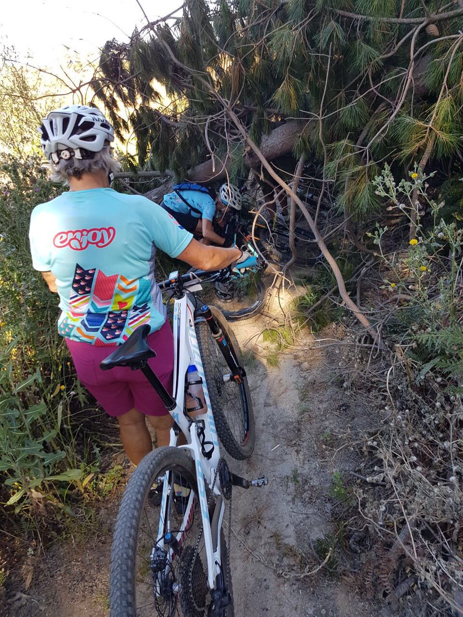 FairtreeContour's tweet photo. Trail maintenance continues daily on #simonsberg while new #singletrack is being shaped for the event too! #TheFireRide next weekend! #enter https://t.co/hY4II0sR5r