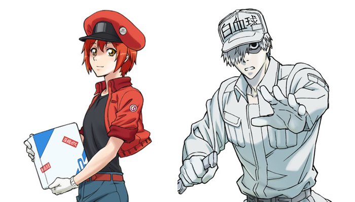 TV Anime 'Hataraku Saibou' Announces Additional Cast Members 