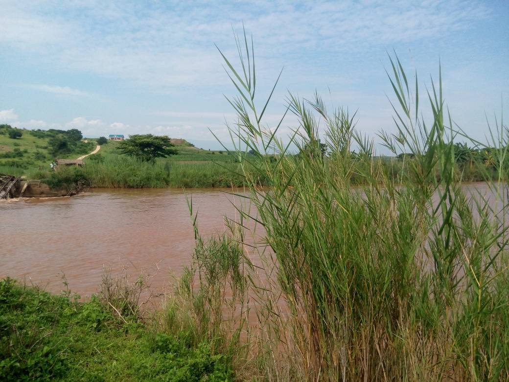 BMineagrie's tweet photo. @CibitokeProv : Visite du Pont Kavimvira reliant le Congo et le Burundi, mais détruite en 1964. Le Pont pourra pourra être reconstruite dans le cadre du Projet #PRDAIGL pour faciliter les échanges commerciaux entre les deux Pays plus particulièrement la production du lait. https://t.co/rA64edc4Rr