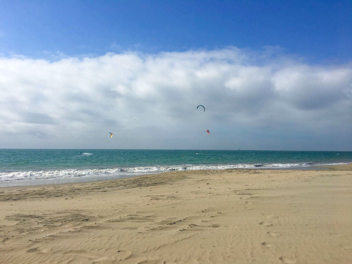 Kite Sisters tweet media