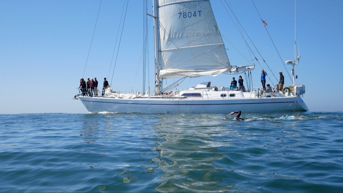 We are looking for open minded, environmentally conscious, adventurous people to join our expedition, The Longest Swim. explorersconnect.com/inspire-storie… #adventure #adventurerevolution #explorersconnect #joinateam