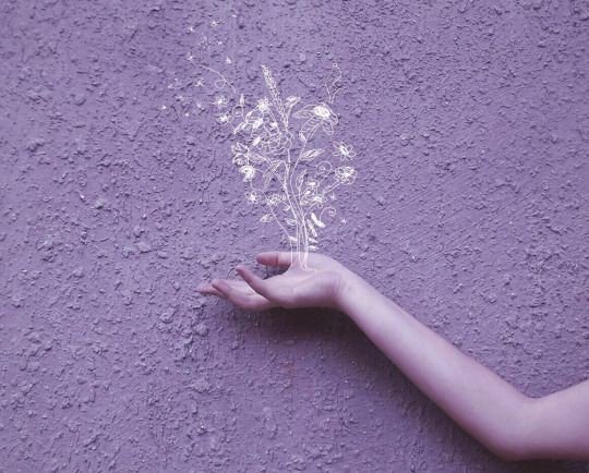 iovchevaaa's tweet image. 