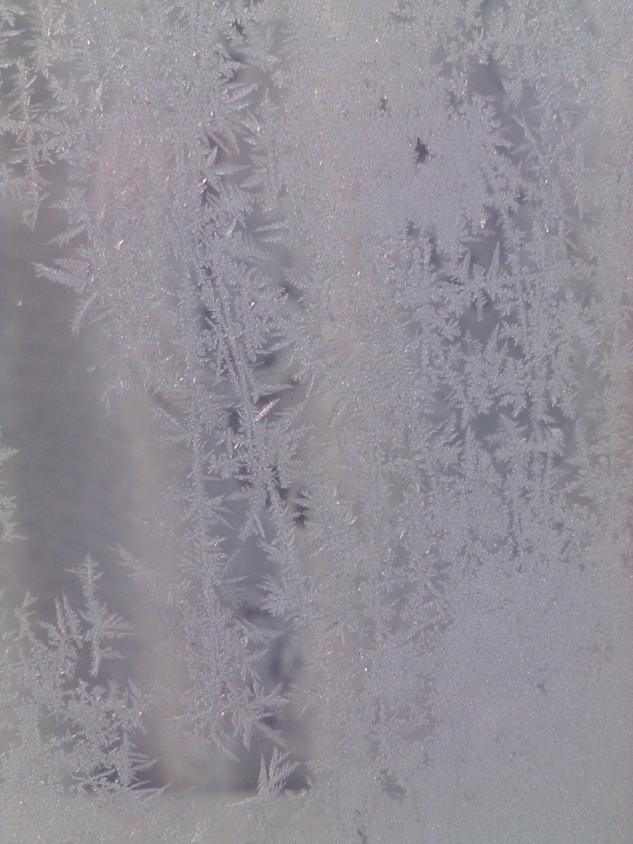 vasy13ionela's tweet photo. #ice , #iceflowers , #frostwork , #window , #winter ✴✴✴ https://t.co/Enupy7Bmhw