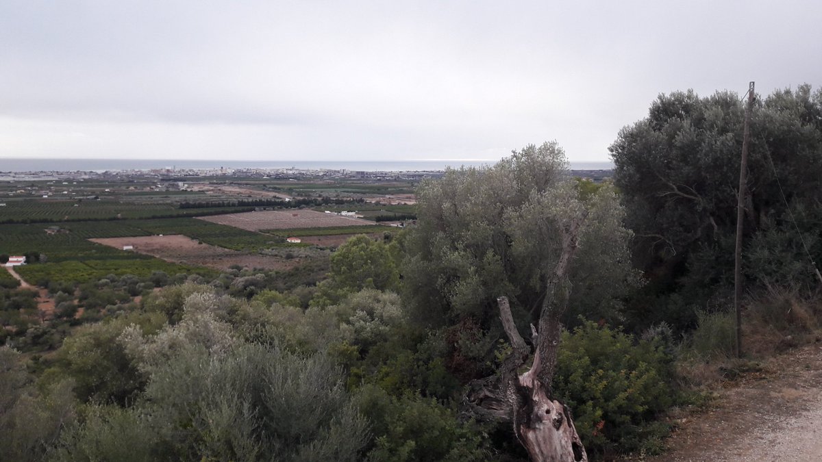 GVA Agricultura, Agua, Ganadería y Pesca tweet media