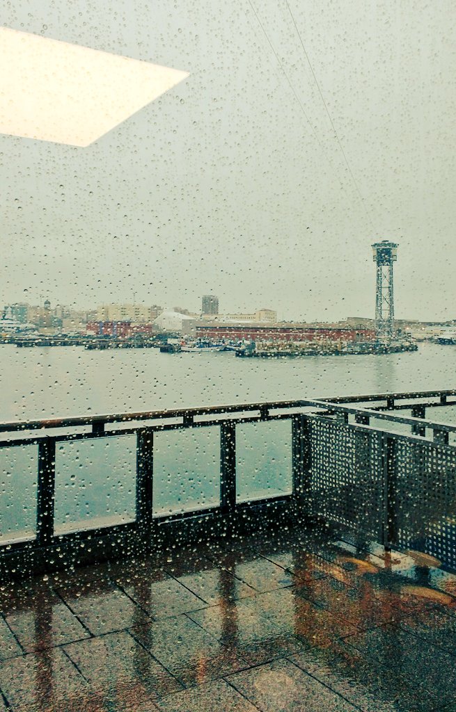 Fundació Factor Humà tweet media