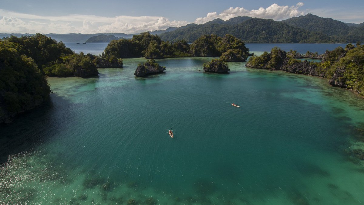 ONG_PPA's tweet image. Projets Plus Actions intervient désormais en Indonésie pour la protection de l'extraordinaire biodiversité de la baie de Matrape dans l'île du Sulawesi.