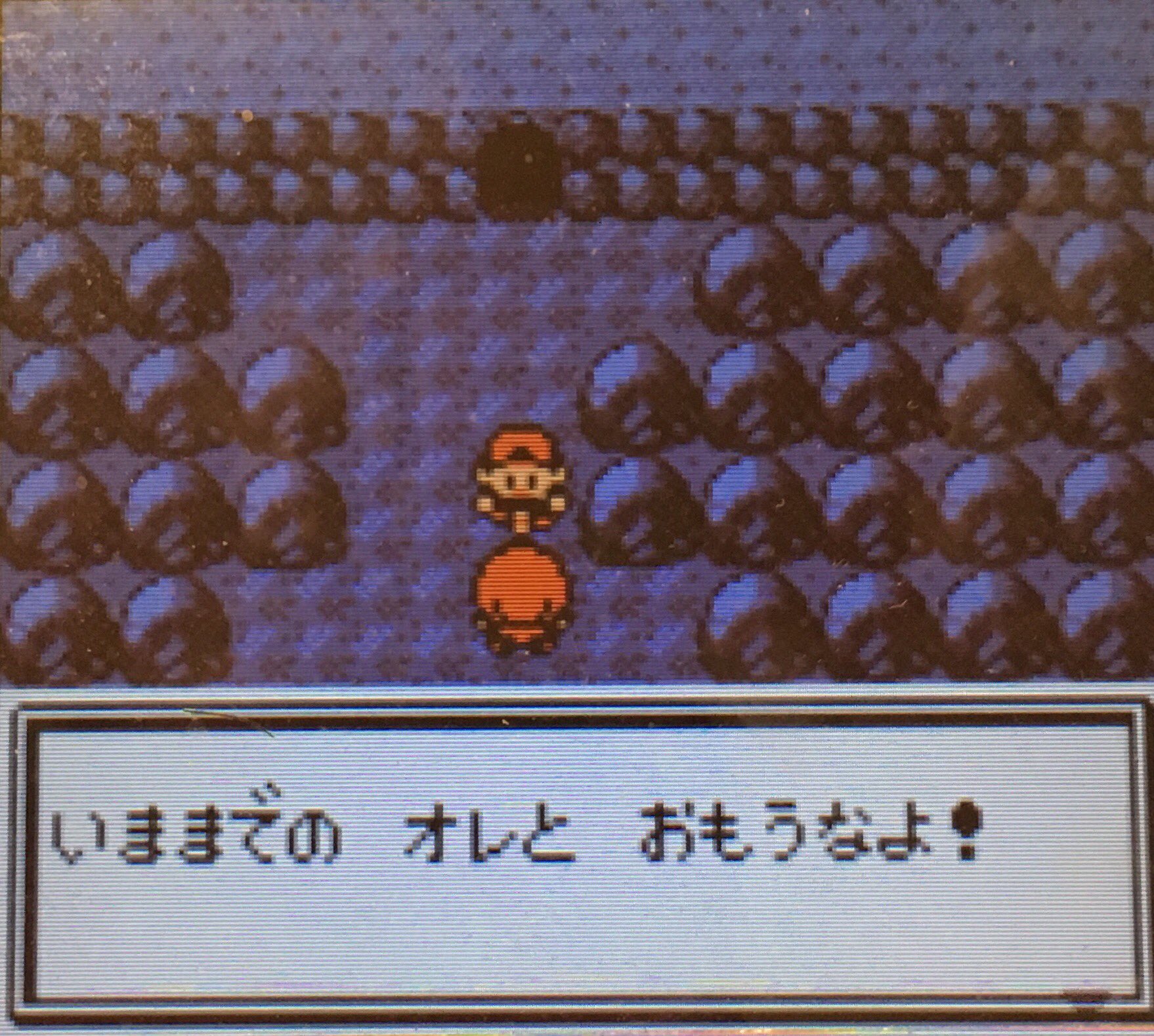 スラヨシ アンテ ポケダン空ネタバレしないでね すっかり忘れてたけどアーボとドガースを引き取った レベル10 12上がった 経験値がたくさんいるううううう T Co Hhfnvnlrvi Twitter