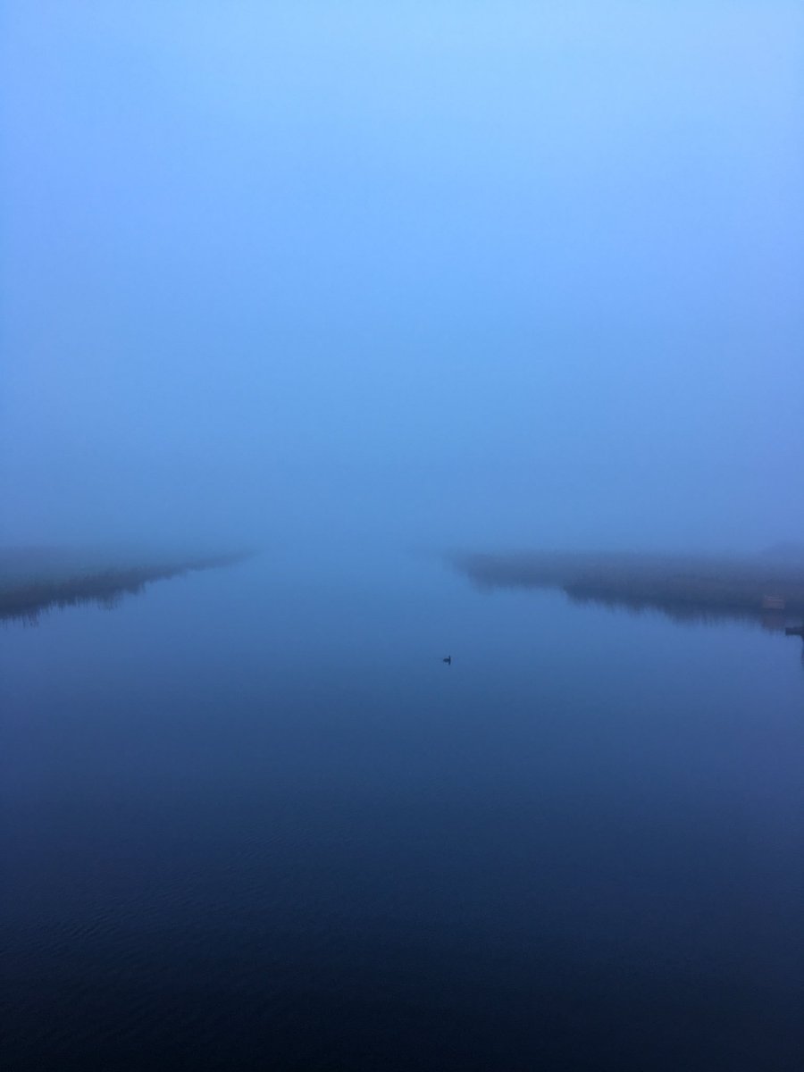 Frank_Kuntz's tweet photo. Even de wereld voor jezelf! #hardlopen #mist #Westerwindpad #Zaandam. https://t.co/ENBCl2kIPH