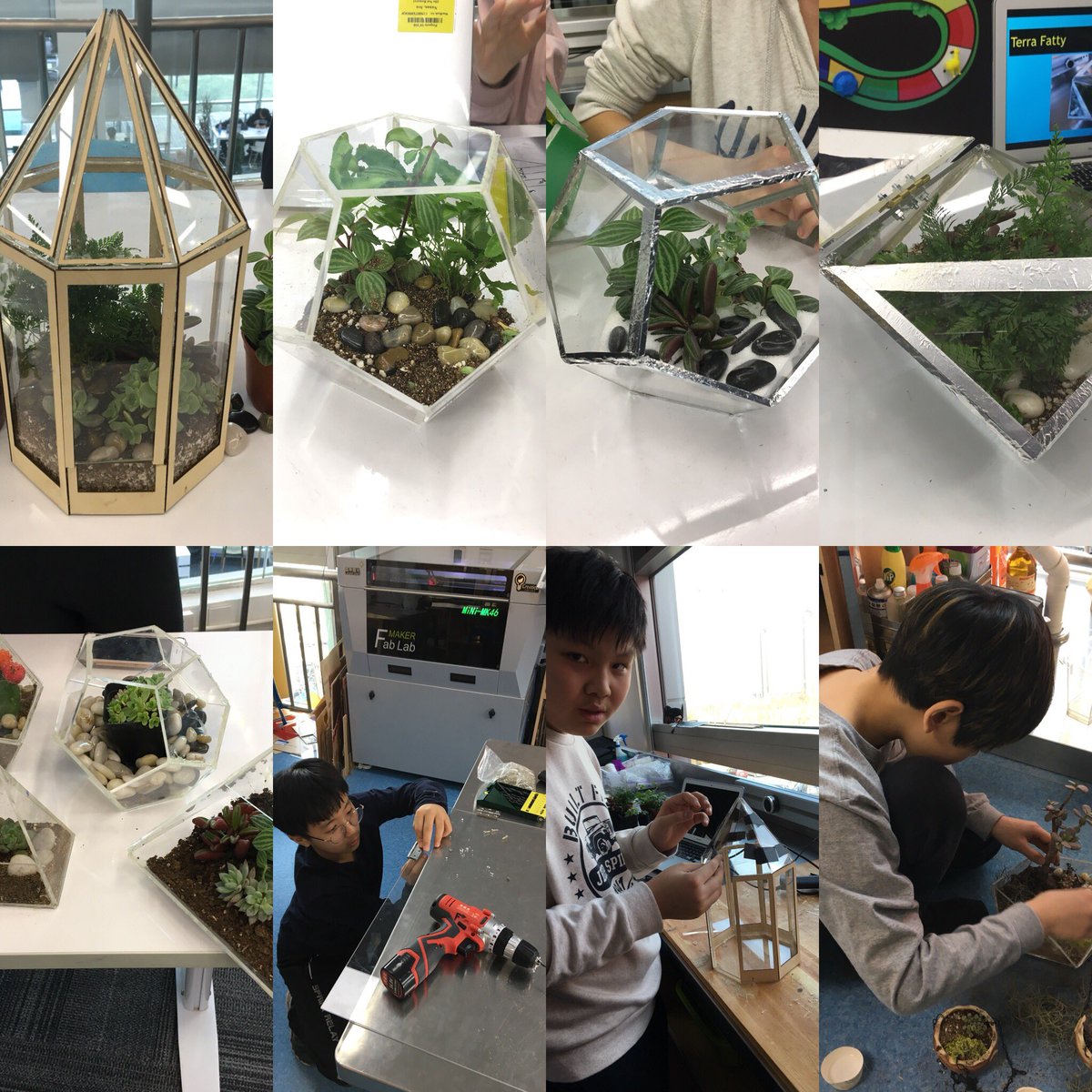 MsDamberger's tweet photo. Love being able to design projects that challenge kids to level up with new skill sets! Their terrariums were a success! #igniteweek #designthinking #learnisb #i https://t.co/3UjbeKboko