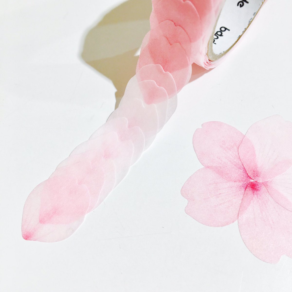コトラモノラ トゥールズ Bande 桜の花びら ソメイヨシノ 入荷しました シール のように1枚ずつめくれる大人気のマスキングロールステッカーに 形や透け感がさらに本物に近づいた 桜の花びら と日本の桜の代名詞 ソメイヨシノ が新登場 春が