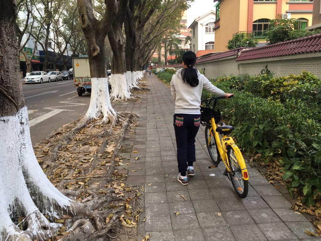 疯帽子 tweet media