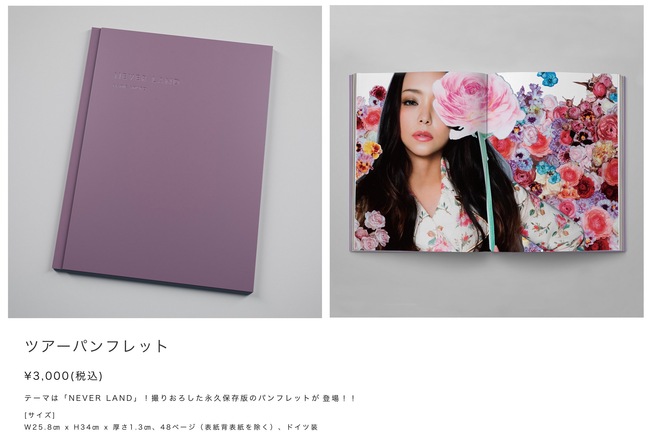 日本限定 安室奈美恵 NEVER LAND 挟まり アート・デザイン・音楽