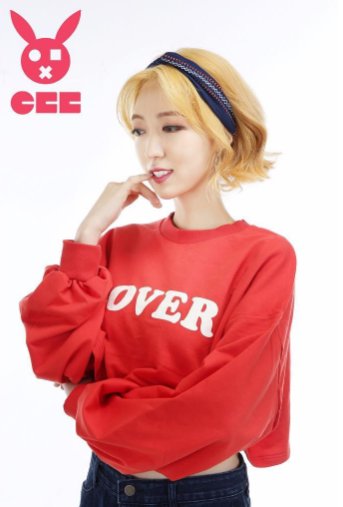 KpopGirlzBands1's tweet photo. #SOL_T redebutara con un nuevo nombre como #GBB #Chaehee #Cheris #JiNi #DooRi https://t.co/jRpJl222FD