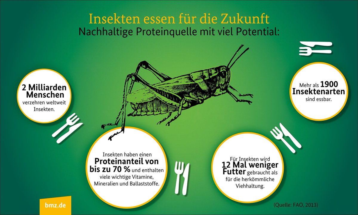 BMZ Bund on Twitter: "Insekten gibt es auch in lecker. Zum Beispiel auf