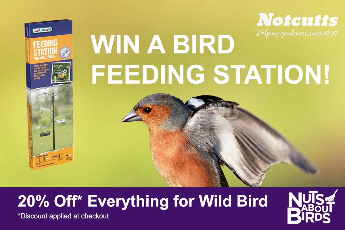 Notcutts Garden Centres on Twitter "To celebrate the start of the Big