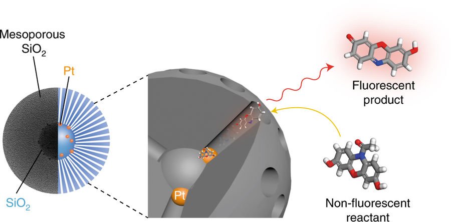 book theory of gas discharge plasma