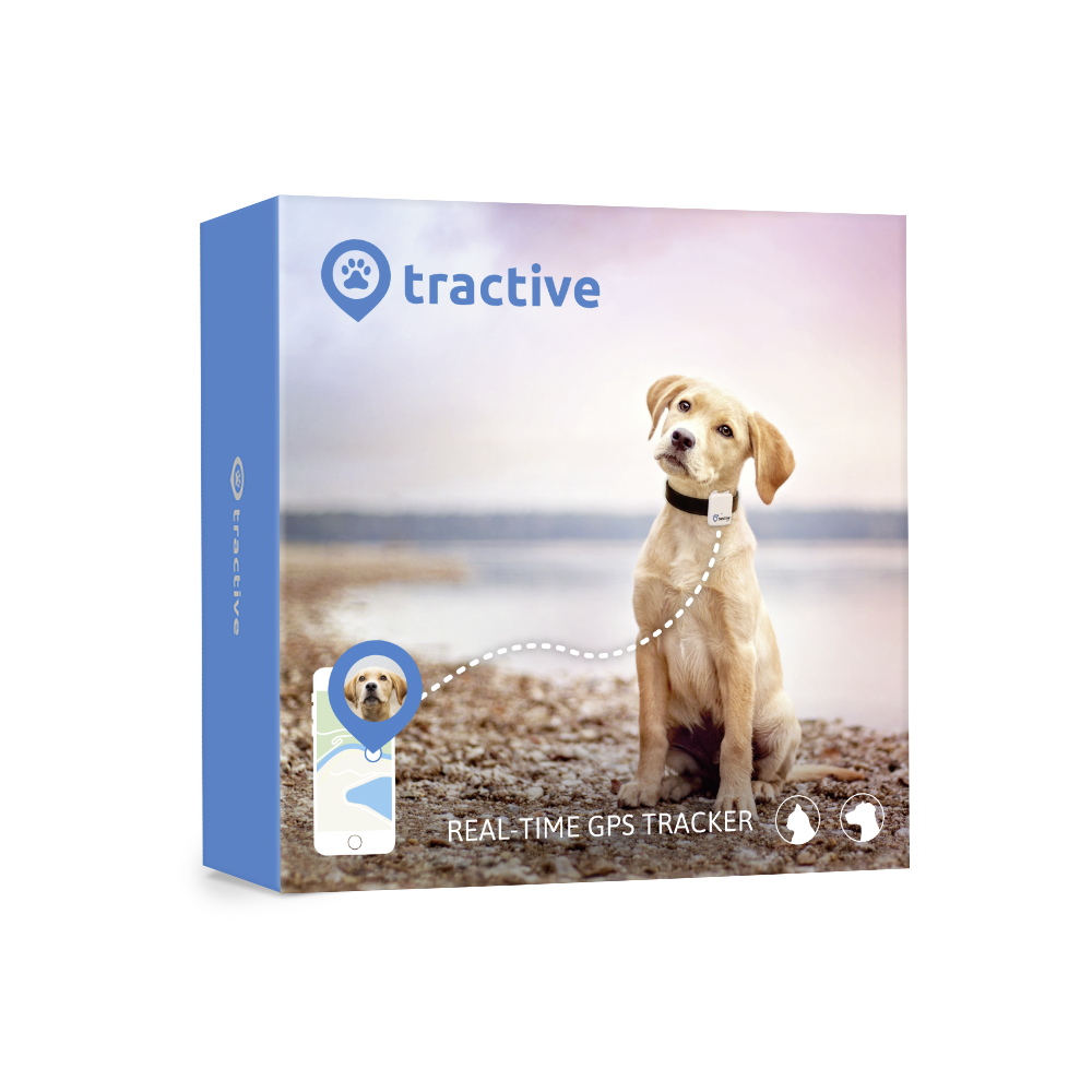 Pencil_Com's tweet photo. @ipergoweb è lieta di annunciare la distribuzione dei localizzatori GPS per gli amici a quattro zampe @Tractive! https://t.co/6kstWWveek