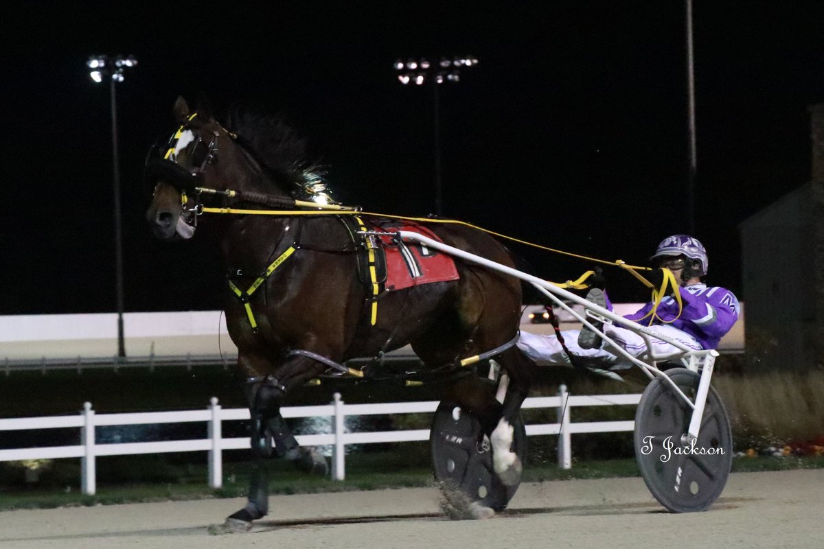 hoosiernations's tweet photo. GoodMorning @crawfordmom1 @Chris_wponies @rebelsart @JoannKi32885615 @vnssa926 @jtlburn @kimberlymoier @SadandSulk @dolenski_john @KathleenBaitzel #SplitTheHouse #BrettMiller #Crown17 https://t.co/eWUFliDAvo
