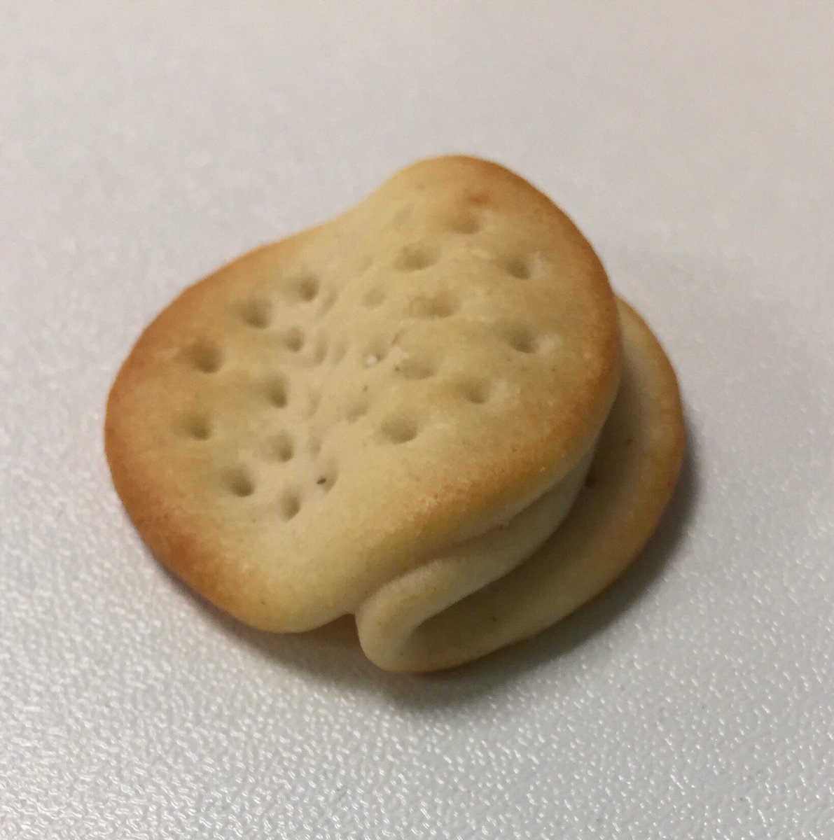 paulryanjones's tweet photo. Look what abomination I found in my @McVities #minicheddars this morning! #underbaked #outofshape #ateitanyway https://t.co/8RldtoSP2y