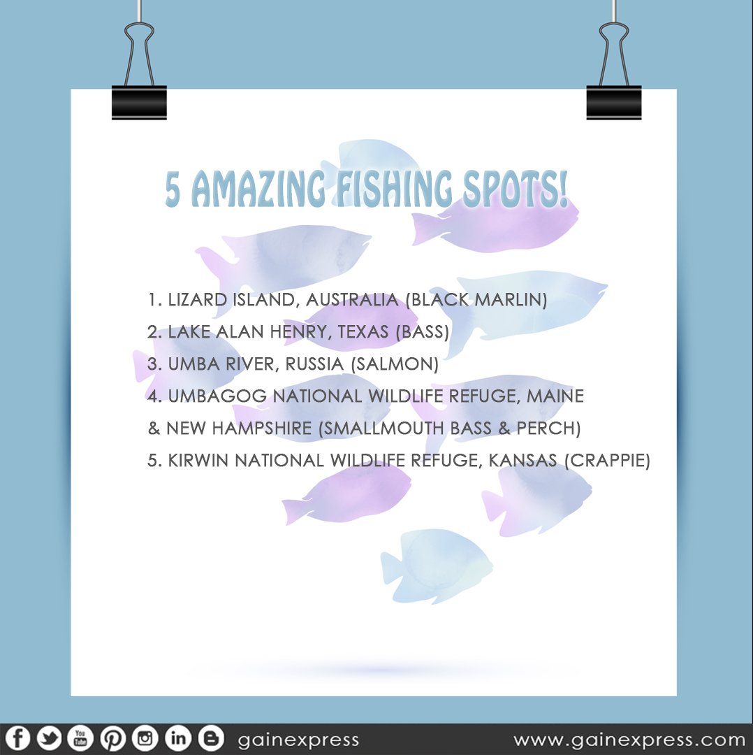 gainexpress's tweet photo. Pick up some #bait , load up your tackle box, grab your #FishingBuddy : https://t.co/CUWvF9lLH7 and get ready for a new #fishing #adventure ! :)

#gainexpress #Fish #fishing #Fisher #FishingSpots #FishingHobby https://t.co/o9DgTygvut