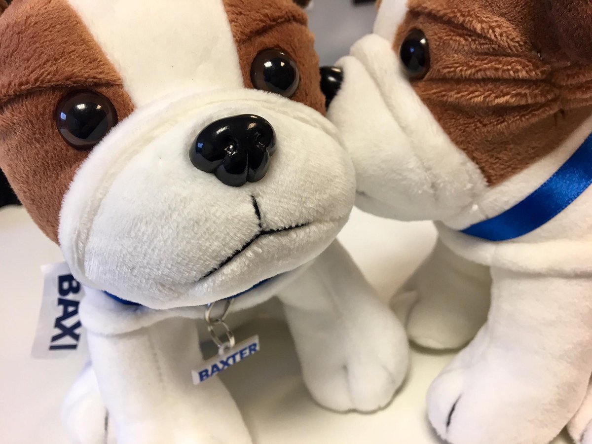 baxiboilers's tweet photo. Take our new pup #Baxter on an adventure! Order him now for only 165 points from the #Baxi Works rewards catalogue! https://t.co/06cRnAxfzW https://t.co/qPUIqmKi4X