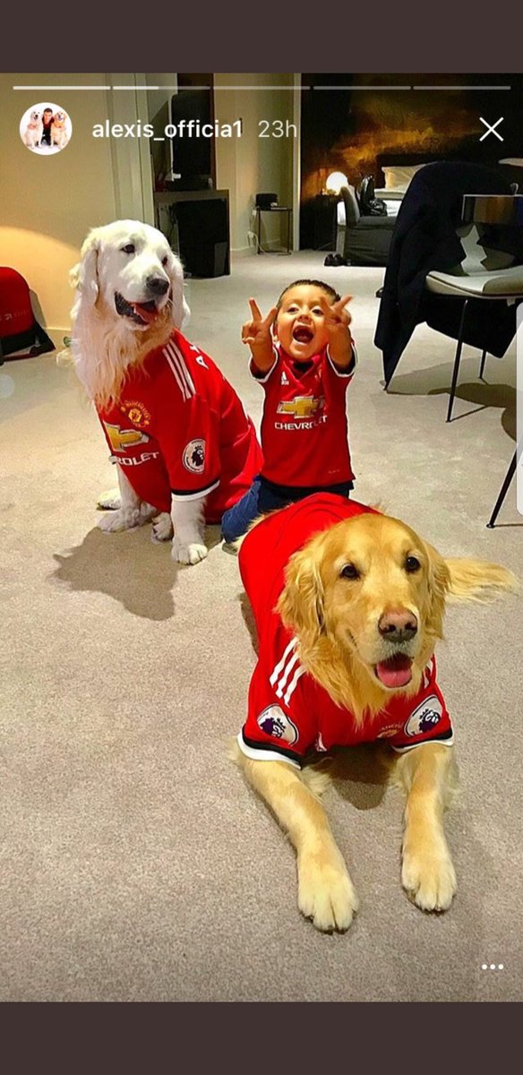 UnitedLounge's tweet photo. When you join a club like #Mufc purely for the money. #Alexis7 #AlexIsRed #Sanchez https://t.co/o1oi6IWgU8