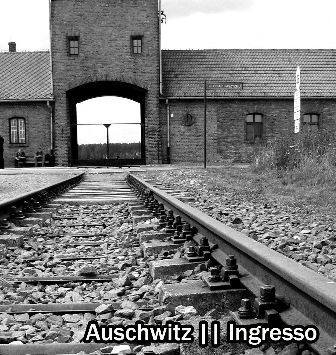Cultura dal mondo:
Il “Giorno della Memoria” è per ricordare l’abbattimento dei cancelli di Auschwitz e lo sterminio e le persecuzioni del popolo ebraico e dei deportati militari e politici italiani nei campi nazisti.
#telemare #fvg #Auschwitz #giornodellamemoria #27gennaio