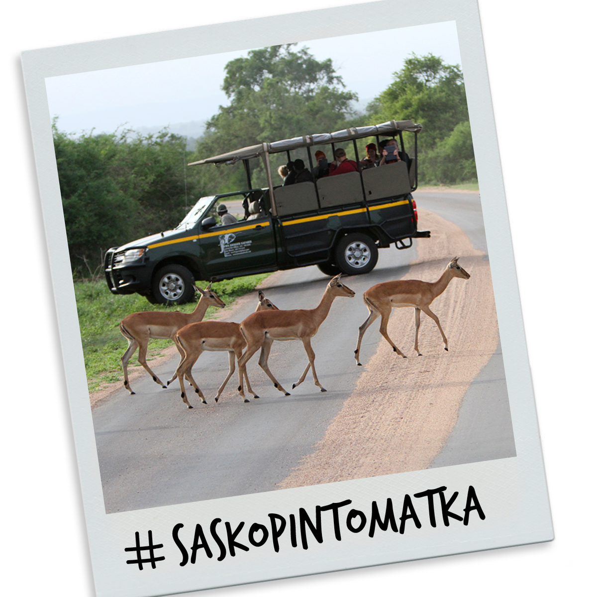 SaskFi's tweet photo. ”Kun mietit, kannattaako lähteä SASKin opintomatkalle, niin sanoisin että kannattaa tehdä mitä vain, jotta pääset sinne –
sen verran ainutlaatuinen kokemus se on." (Petri Varjonen) Haku #saskopintomatkalle Mosambikiin on auki, hae mukaan https://t.co/IN4U4sr3BN. #matka2018 https://t.co/agsz3hAADh