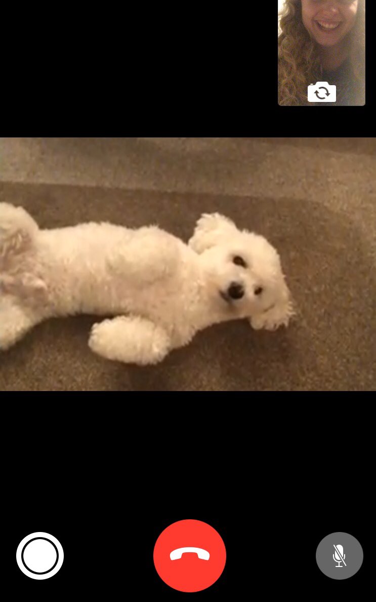 Archie likes to tell me what he gets up to while I’m away..