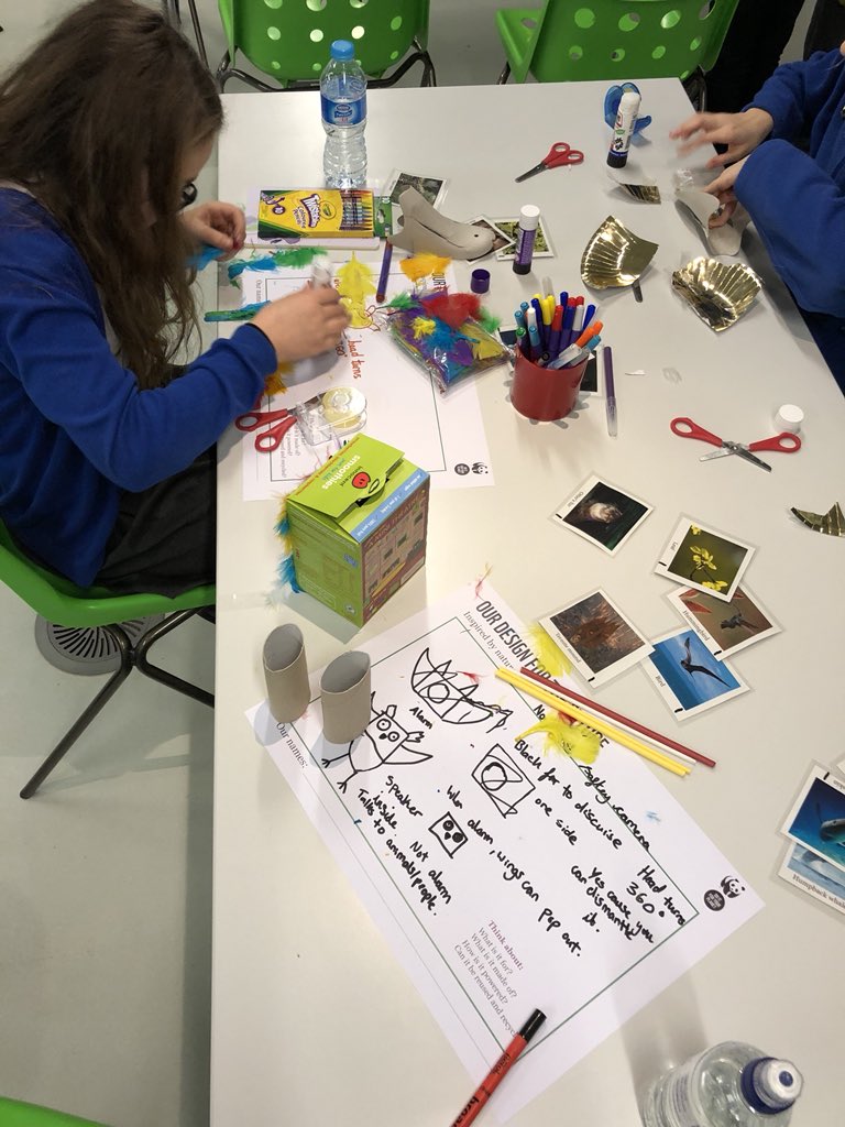 Tudor Court Primary tweet media