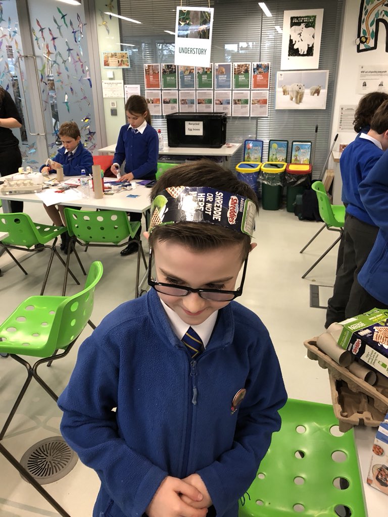 Tudor Court Primary tweet media