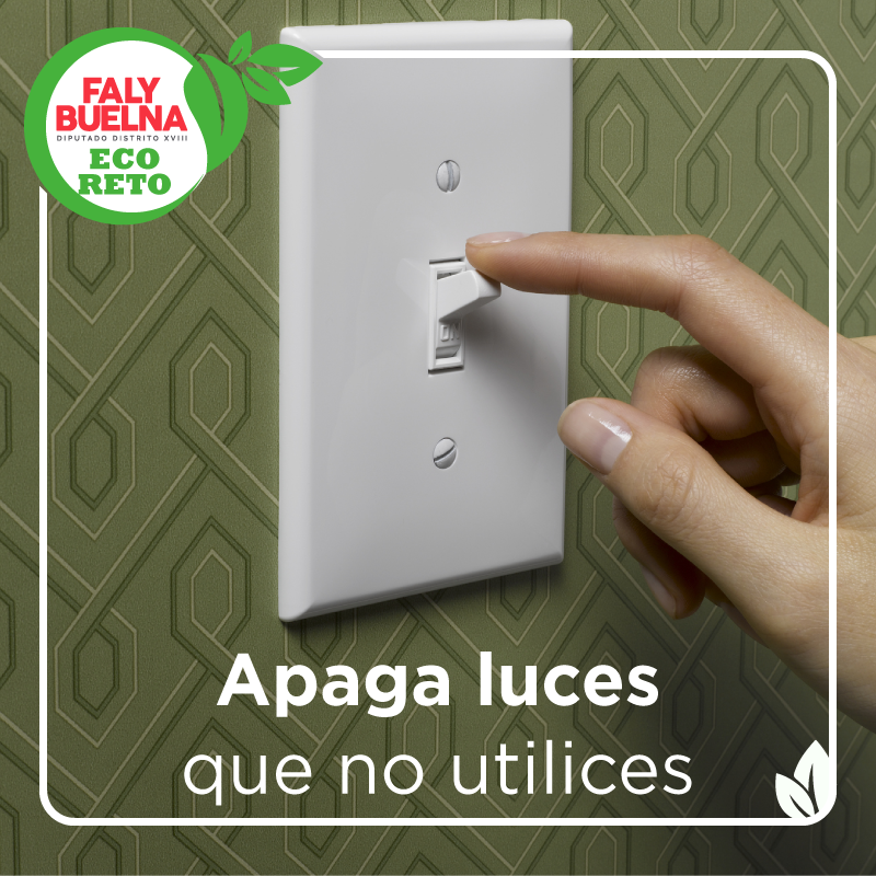 FalyBuelna's tweet photo. Inicia el año y uno de mis propósitos es fomentar el cuidado del medio ambiente así que de nueva cuenta les propongo los #Ecoretos 🍃

El de hoy es muy básico que con la práctica se volverá una costumbre, el mantener las luces que no necesitamos apagadas.
¡Comparte! 😁 https://t.co/BJ8LBnwADO