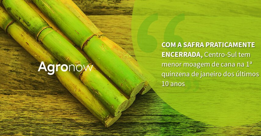 Com a safra praticamente encerrada, Centro-Sul tem menor moagem de cana na 1ª quinzena de janeiro dos últimos 10 anos
Acesse >> https://t.co/I4nAltS8zE
#Agronow #agronegocio #tecnologianocampo #agriculturadigital #canadeacucar https://t.co/jZV84fHPQg