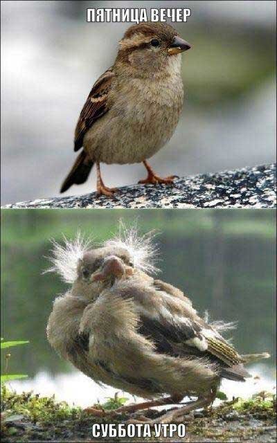 Картинка пятница вечер суббота утро