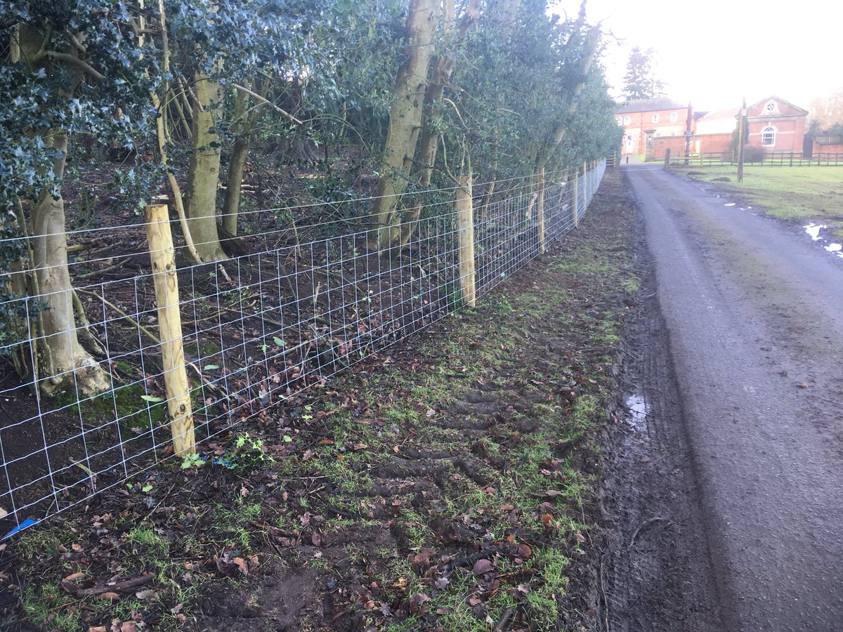 JHubbardandson's tweet photo. Fencing at Berkswell Hall completed no chance of any of @BerkswellCheese sheep getting through here now ..! #escapeartists https://t.co/WxUnoN8VYW
