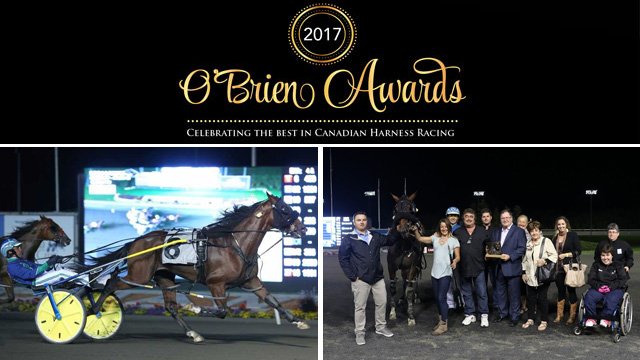 Gosh! From a colt he hadn't heard of one year ago to an O'Brien Award nomination. It's a dream come true for Andrew Harris and Pedro Hanover #harnessracing #OBriens17 goo.gl/aYcZQW