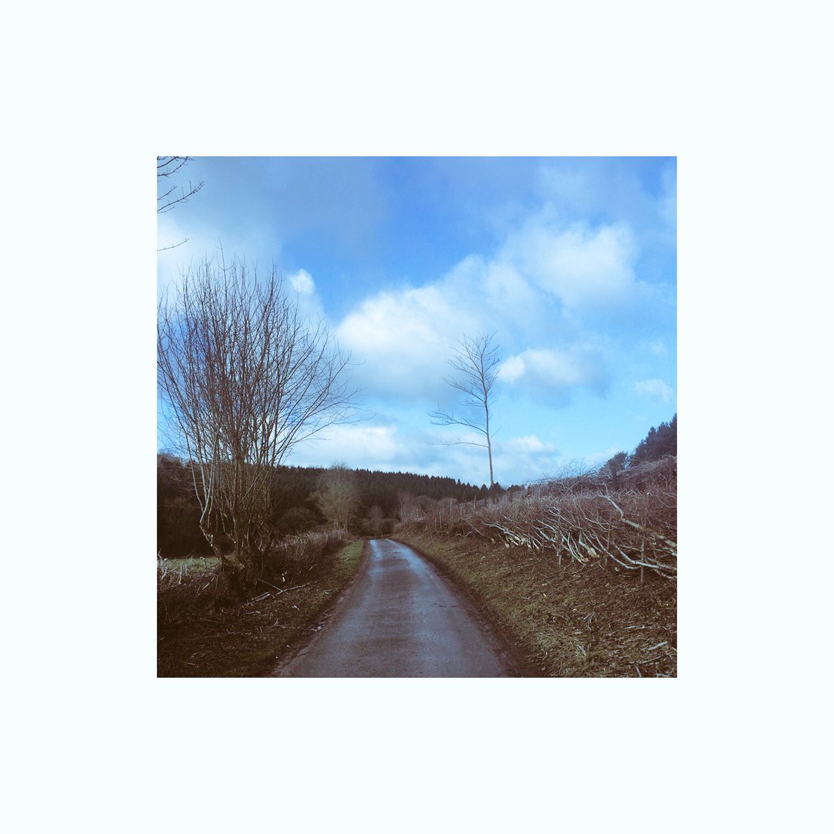 Revisited a client’s house 2day, it’s truly out in the sticks but totally gorgeous [lovely hedge-laying work in progress en route that made me stop in my tracks] SO grateful 4 clients who praise ur work ethics &amp; invite u back 4 more! #happyfriday #clientswhorock #englandatitsbest