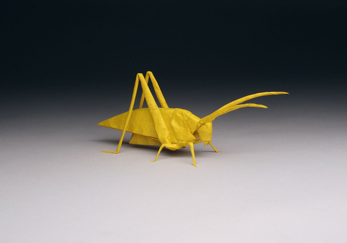 OrigamiBrasil's tweet photo. RT @artthescience: Wow! #RobertJLang creates stunning #origami #SciArt works using just one piece of #paper! Read our interview here: https://t.co/RZGCMdLQ7I #math #biology #sculpture #science #art https://t.co/oVPGEMgqvO