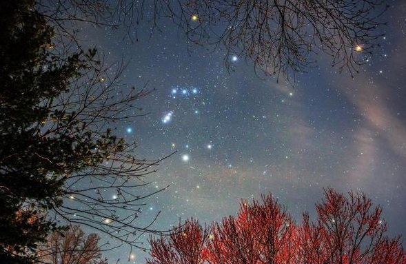 Andrew Rader tweet media