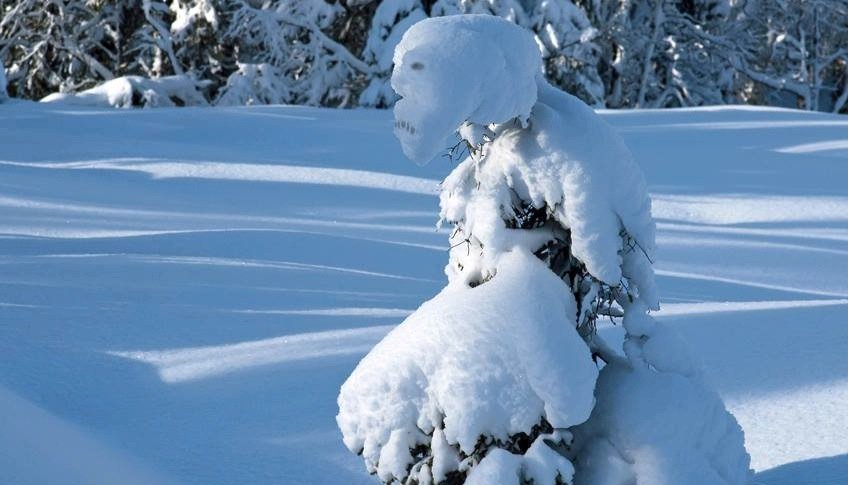 elusive moose on twitter fridayfun scary snowman or is that a
