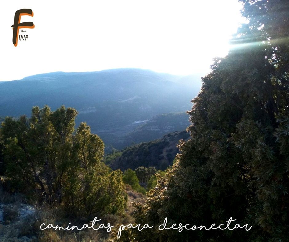 barfinalinares's tweet photo. Ruta entre semana de Linares de Mora a Puertomingalvo ¿Quien se anima a hacer esta ruta y disfrutar de estas vistas ? → Los interesados comentarlo en el bar y montamos grupo. 

También de Alcalá a Linares.

#castelvispal #vispal #linaresdemora https://t.co/VsenOmSU0x
