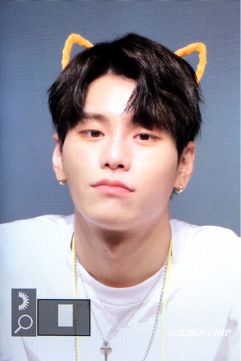 GOLDEN CHIP✨ tweet media