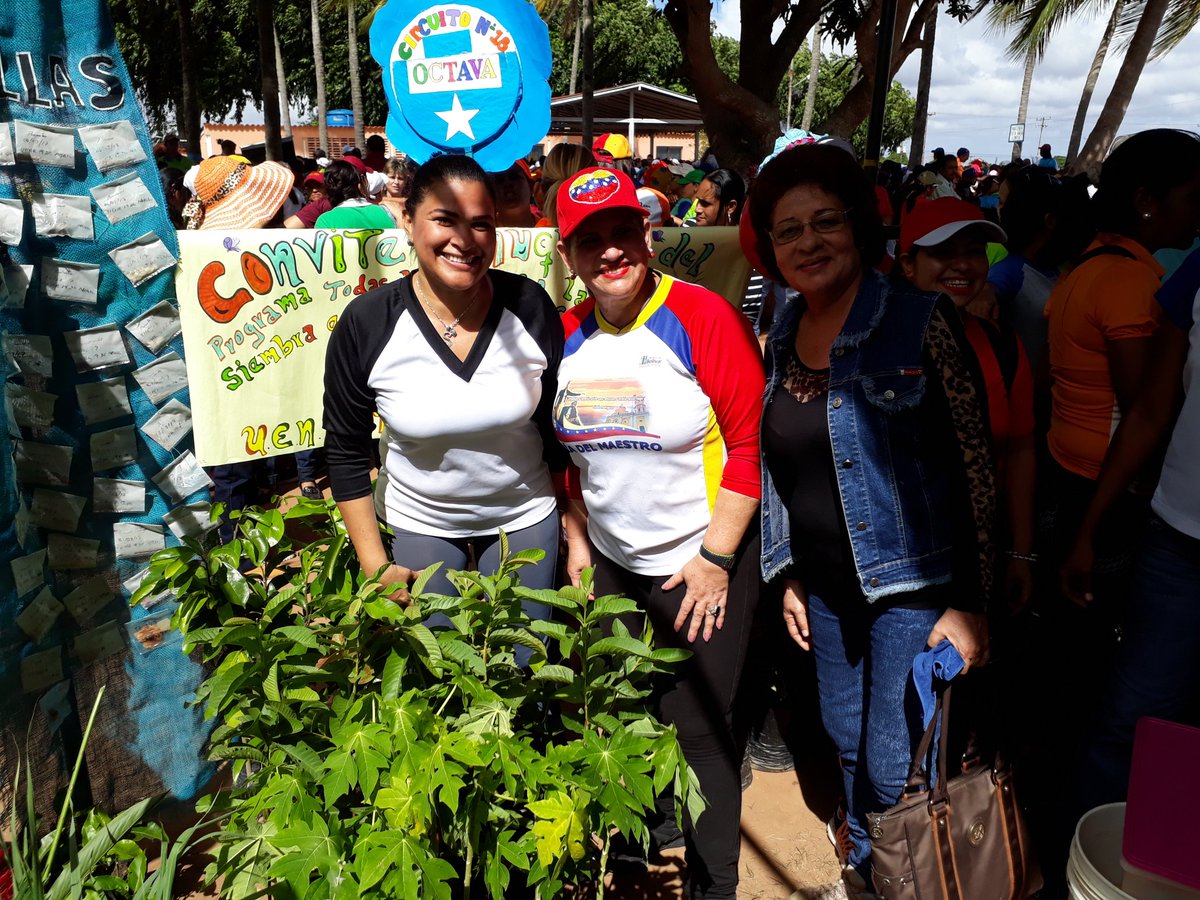 CDCE_Bolívar tweet media