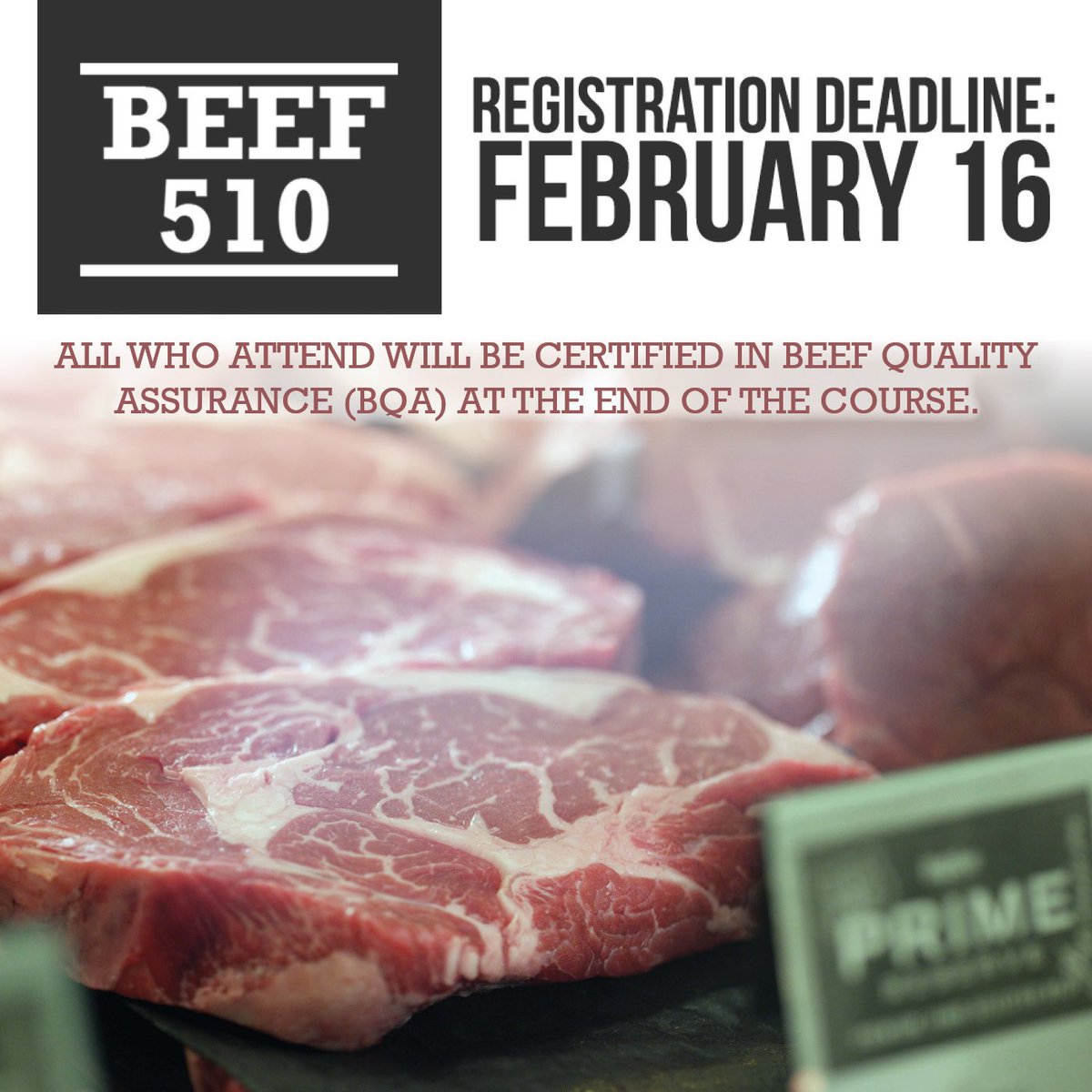 Ohio_Cattlemen's tweet photo. The Beef 510 program is open to all cattlemen and will present information designed to help producers better prepare their operations and their cattle to meet challenges of the future. More information and registration here: https://t.co/eWLJbe5qGD https://t.co/aXTTGPkYka