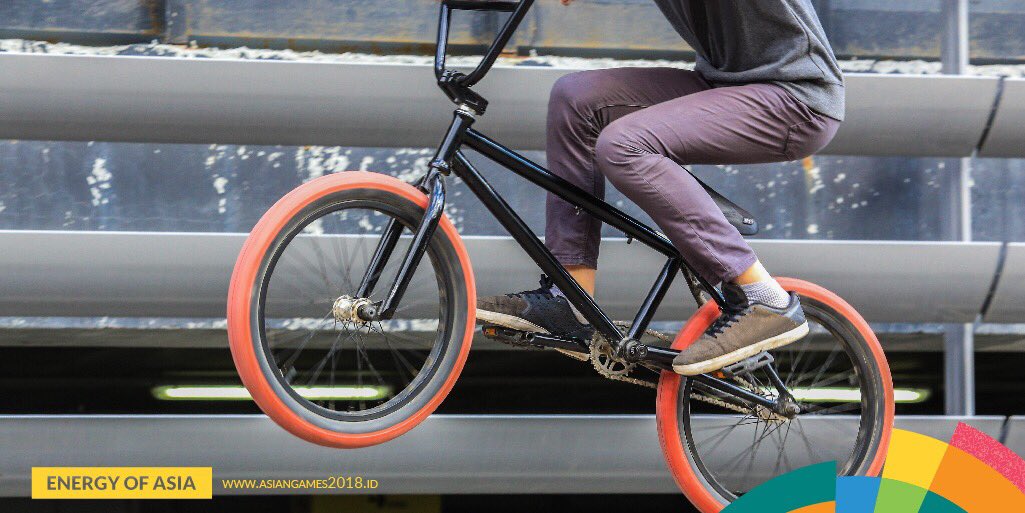 bmx stands for